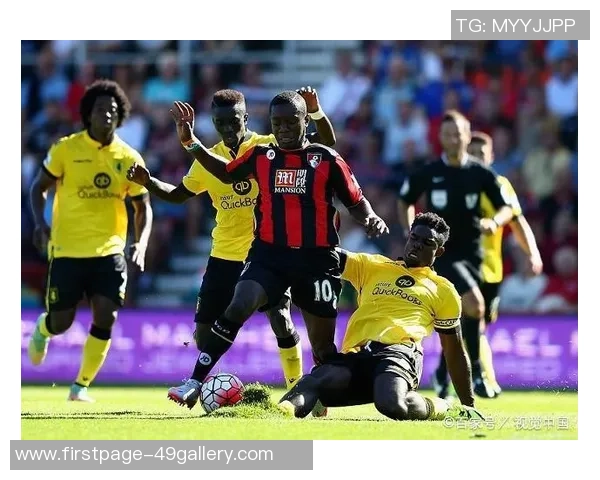 天狼星与诺科平的精彩对决揭示足球战术与团队协作的魅力